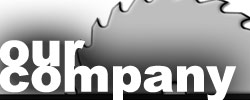 Our Company